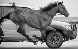 How do I convert kilowatts to horsepower?