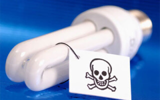 How to dispose of fluorescent lamps?