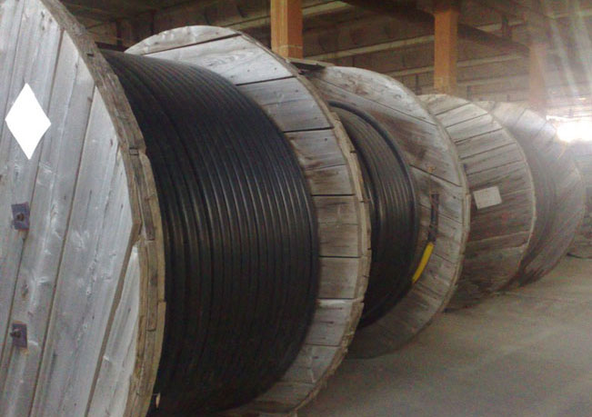 Description and specifications of power cable AVBBSHV