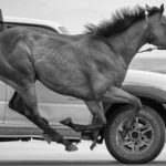 How do I convert amps to watts and back?