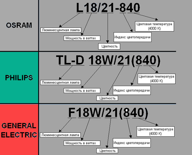 Labeling of fluorescent light bulbs