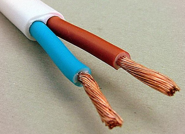 SHVVP cord