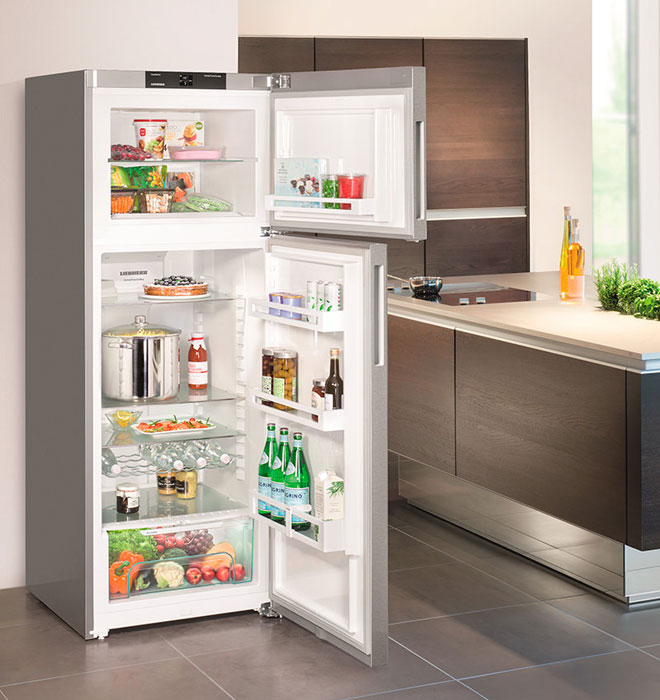 Which fridge is best for your home - Top Fridges for Price