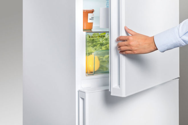 Which fridge is best for your home - Top fridge for price