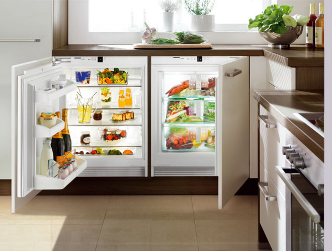 Which fridge is best for your home - Top fridge for price