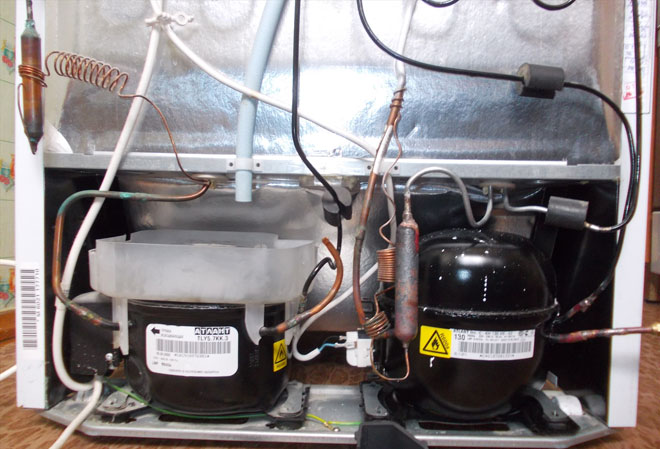 Which fridge is best for your home - Top fridge for price