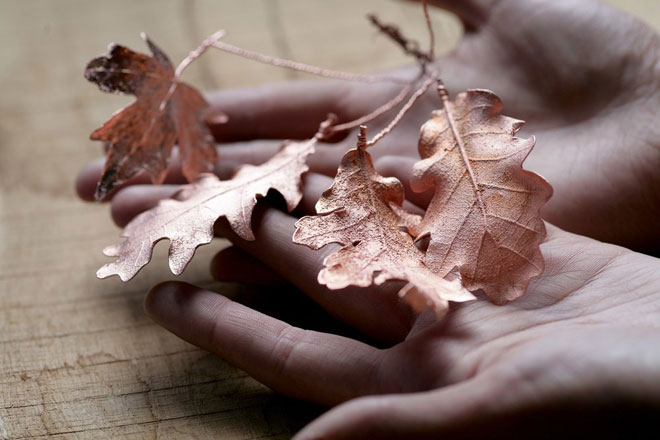 What is an anode and cathode?