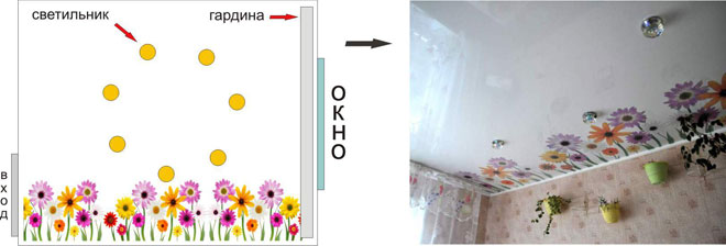 How to position the correct spotlights on the suspended ceiling