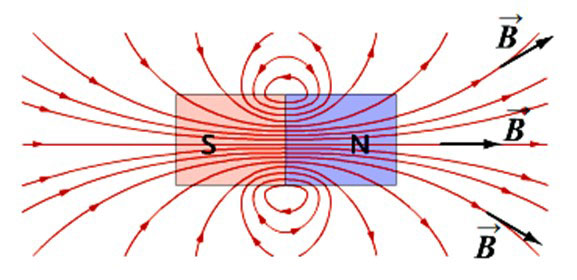 The direction of the magnetic induction vector of a permanent magnet. 