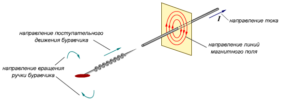 Buravnik's rule for determining the direction of the magnetic induction vector. 